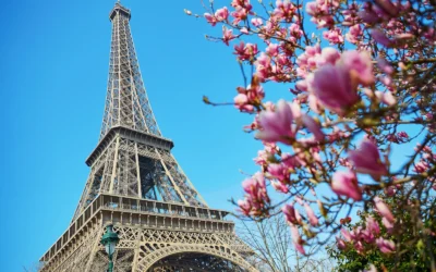 Wahlpflichtunterricht WP I – Jahrgangsstufe 10: Französisch