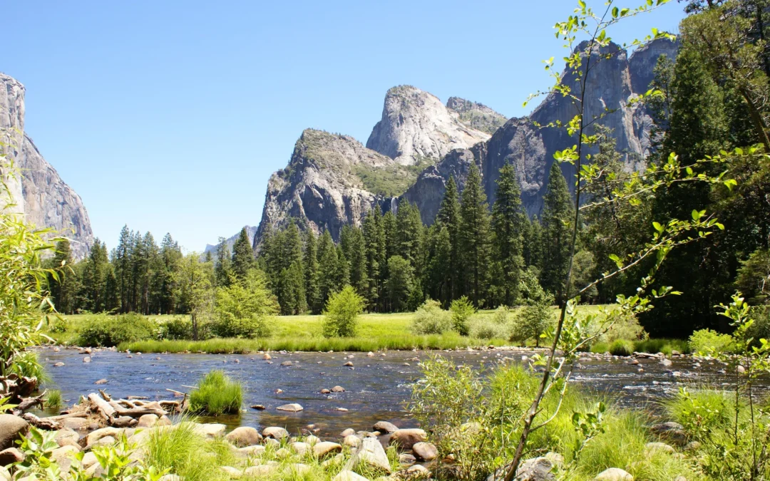 Wahlpflichtunterricht WP I – Jahrgangsstufe 7: Ökosysteme